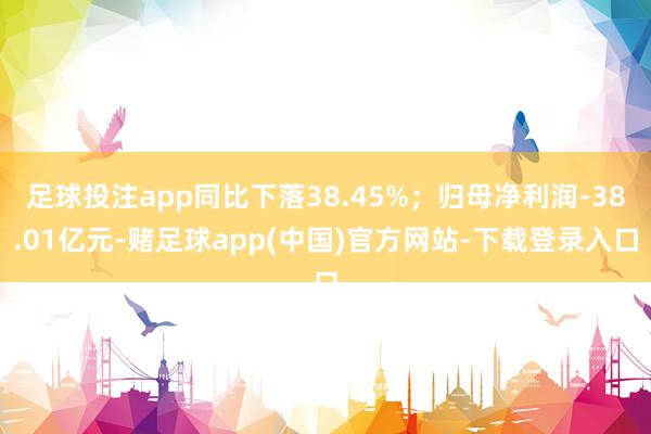 足球投注app同比下落38.45%；归母净利润-38.01亿元-赌足球app(中国)官方网站-下载登录入口