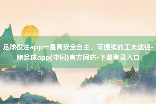 足球投注app一是高安全自主、可握续的工夫途径-赌足球app(中国)官方网站-下载登录入口