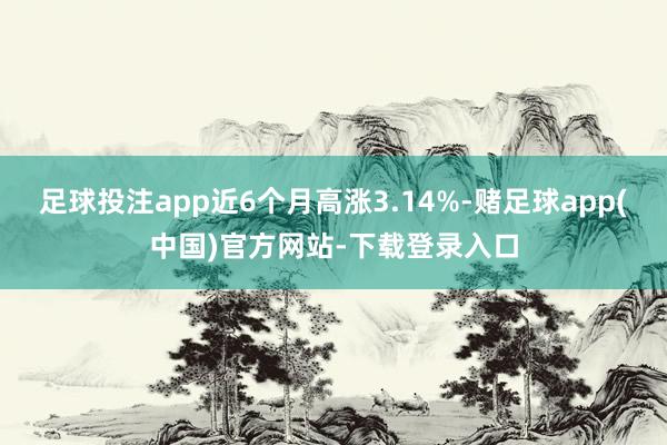 足球投注app近6个月高涨3.14%-赌足球app(中国)官方网站-下载登录入口