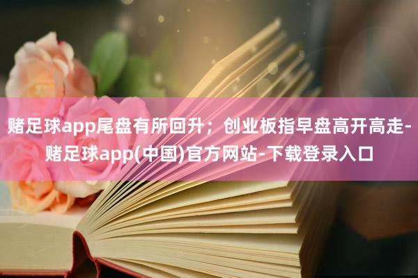 赌足球app尾盘有所回升;创业板指早盘高开高走-赌足球app(中国)官方网站-下载登录入口